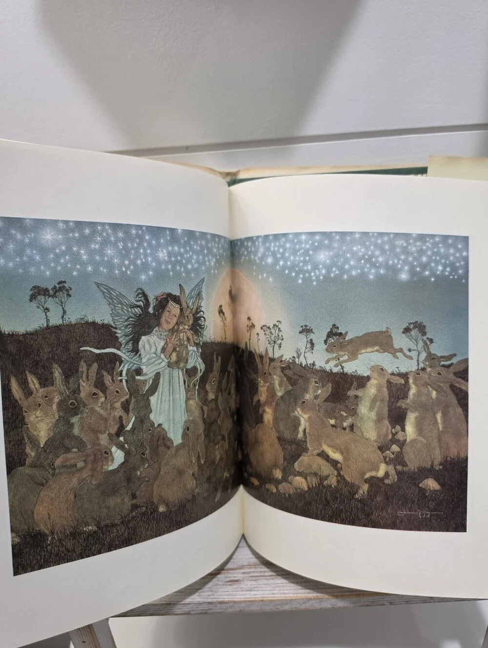 1983 The Velveteen Rabbit